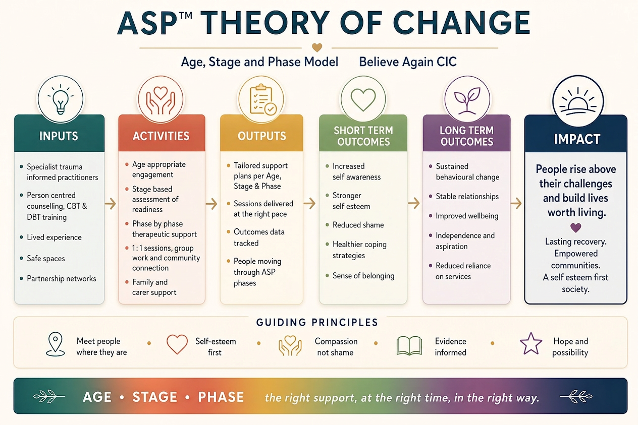 ASP Theory of Change infographic